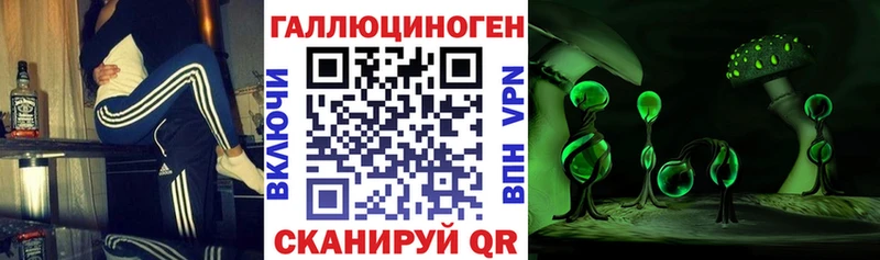 Галлюциногенные грибы Magic Shrooms Суджа
